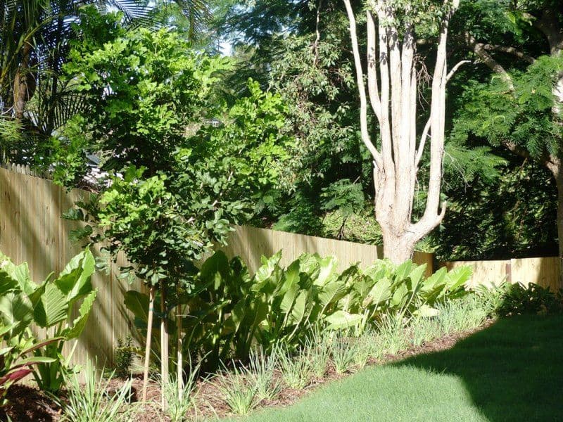 121 Hansen Street, Moorooka QLD 4105, Moorooka - Thumbnail 8