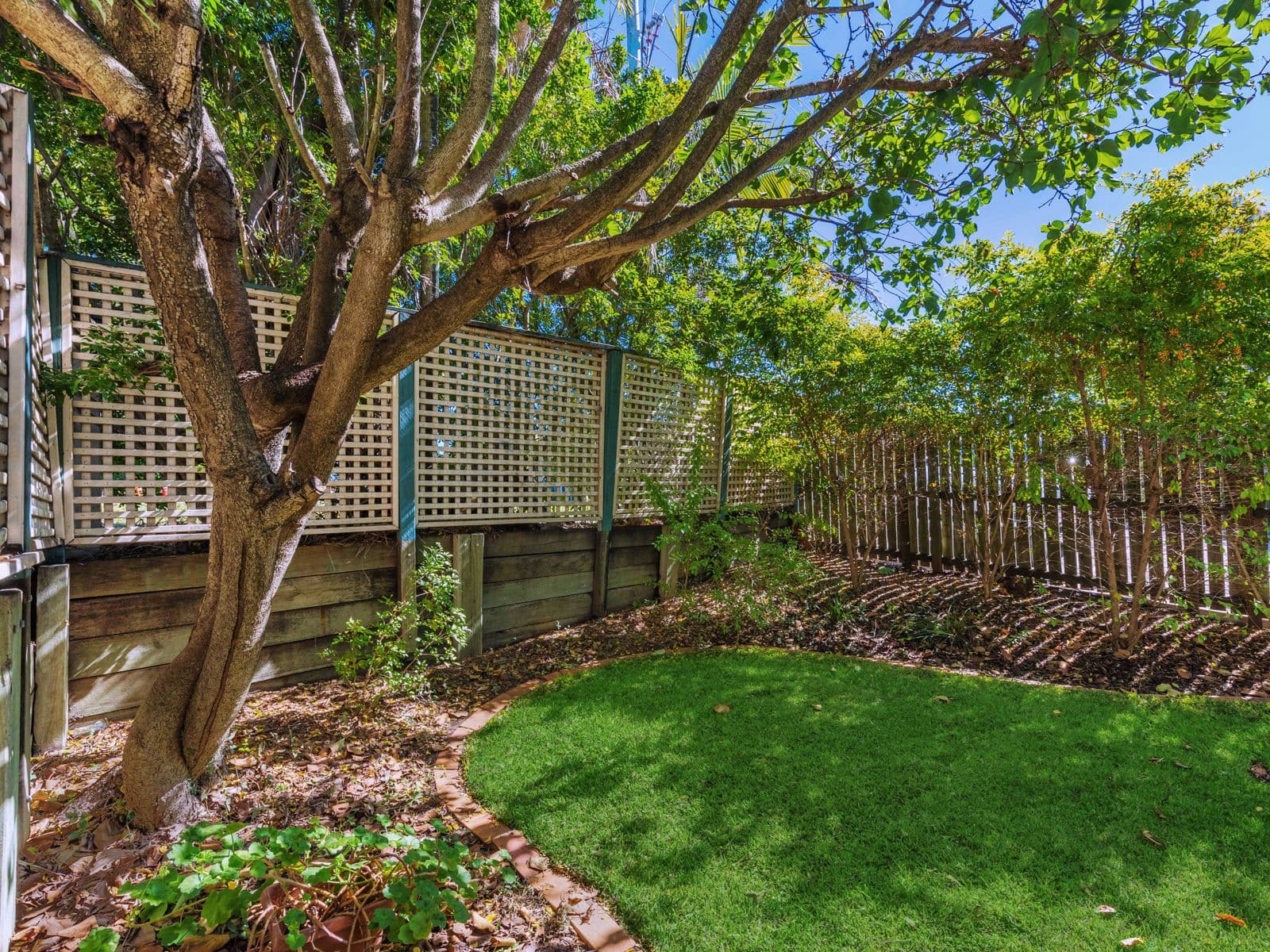106 Whitmore Street, Taringa QLD 4068, Taringa - Thumbnail 7