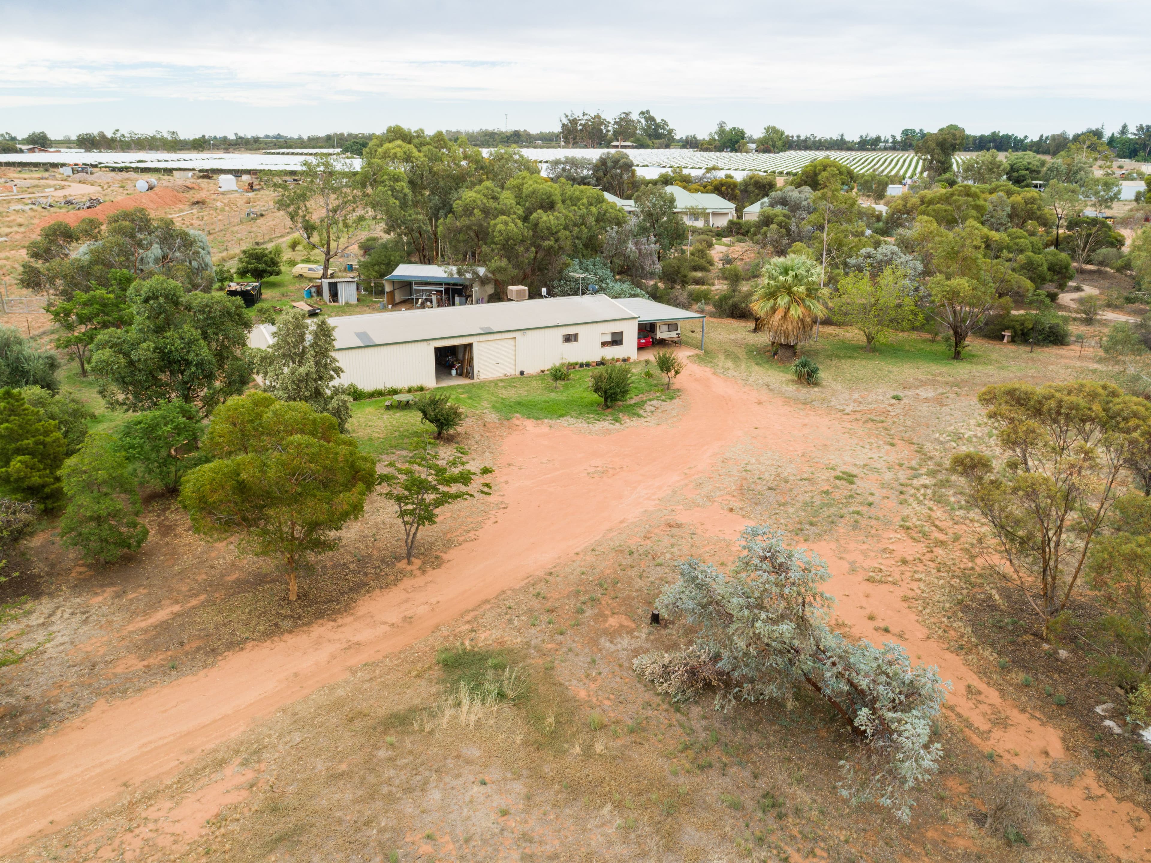 77 Barnett Road, Red Cliffs VIC 3496, Red Cliffs - Thumbnail 6
