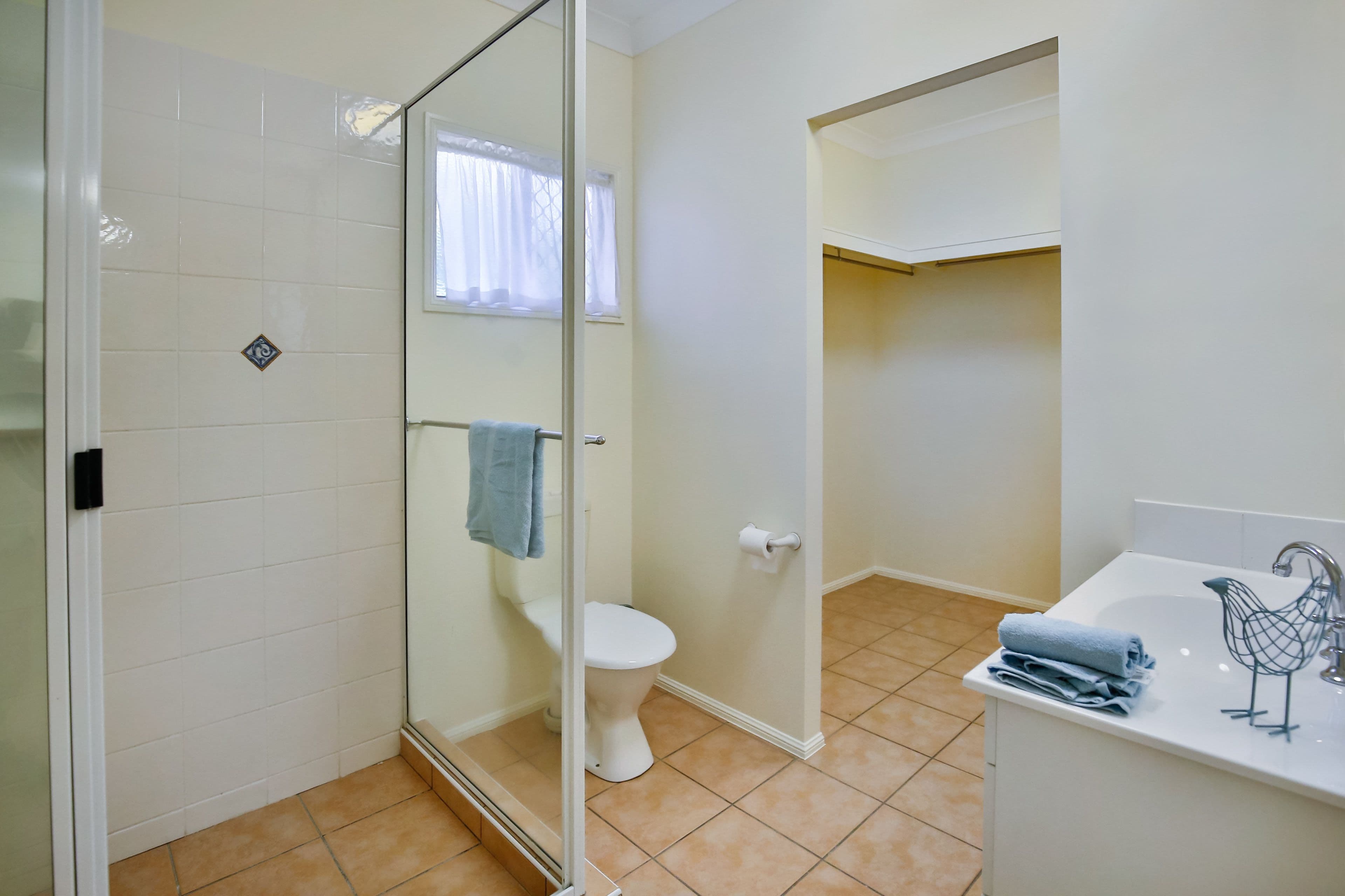 15 Camden Court, Annandale QLD 4814, Annandale - Thumbnail 7