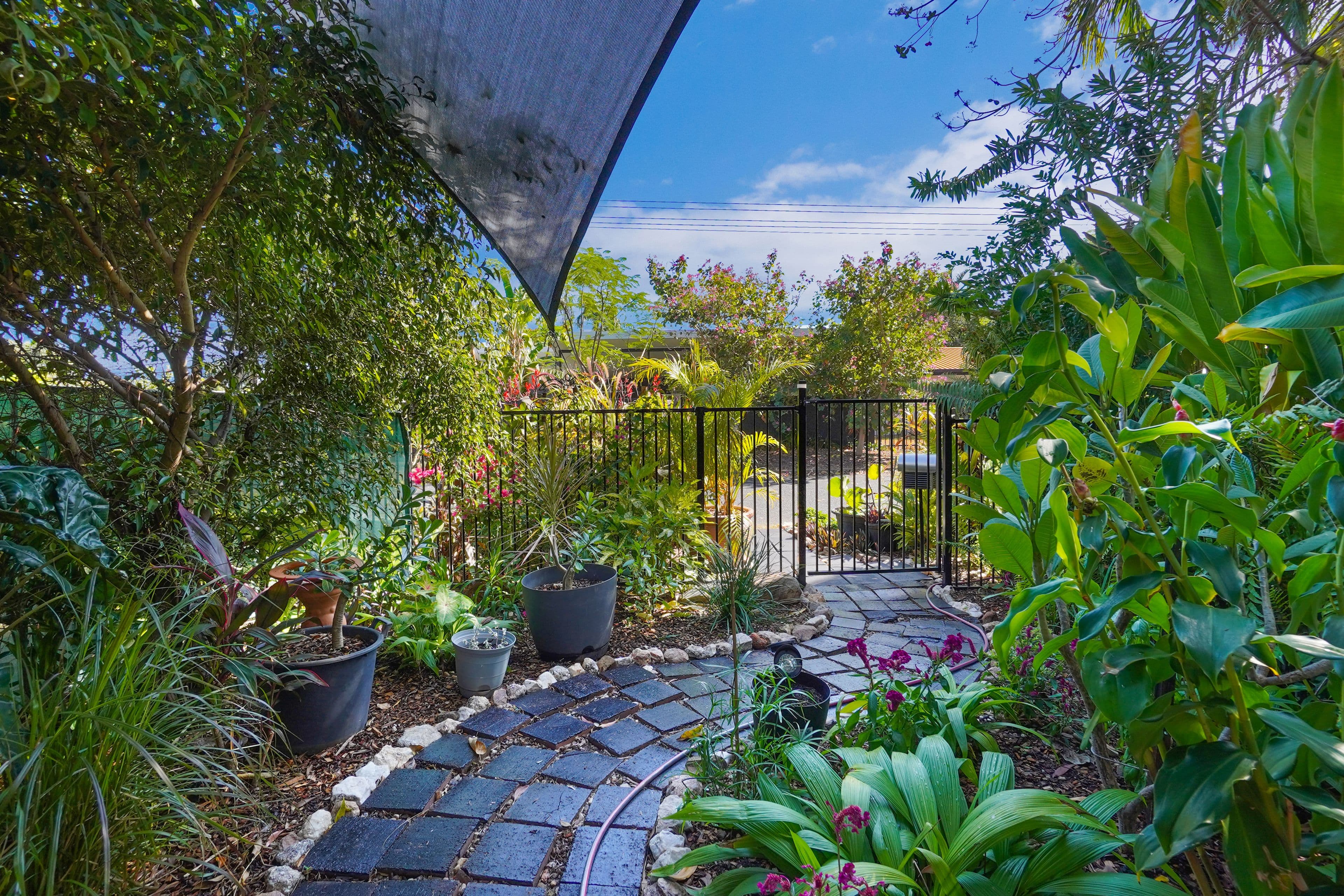 16 Floyd Court, Coconut Grove NT 0810, Coconut Grove - Thumbnail 2