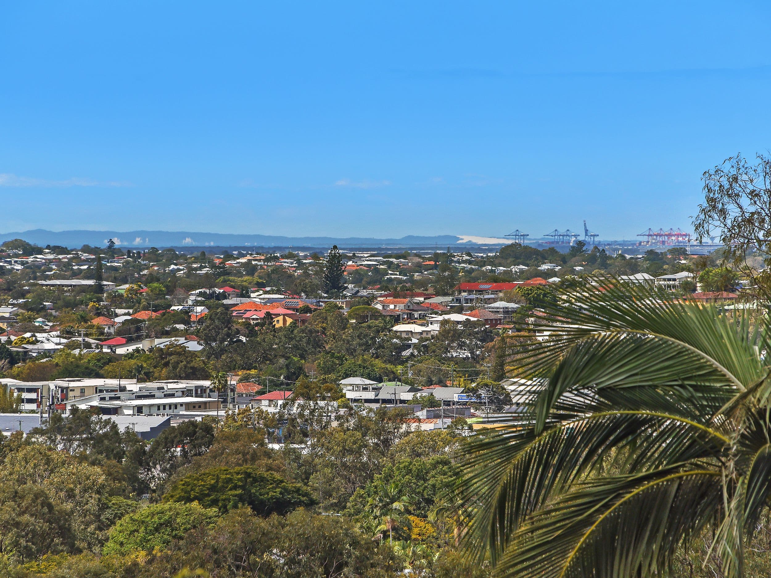 38 Welbeck Street, Alderley QLD 4051, Alderley - Thumbnail 4