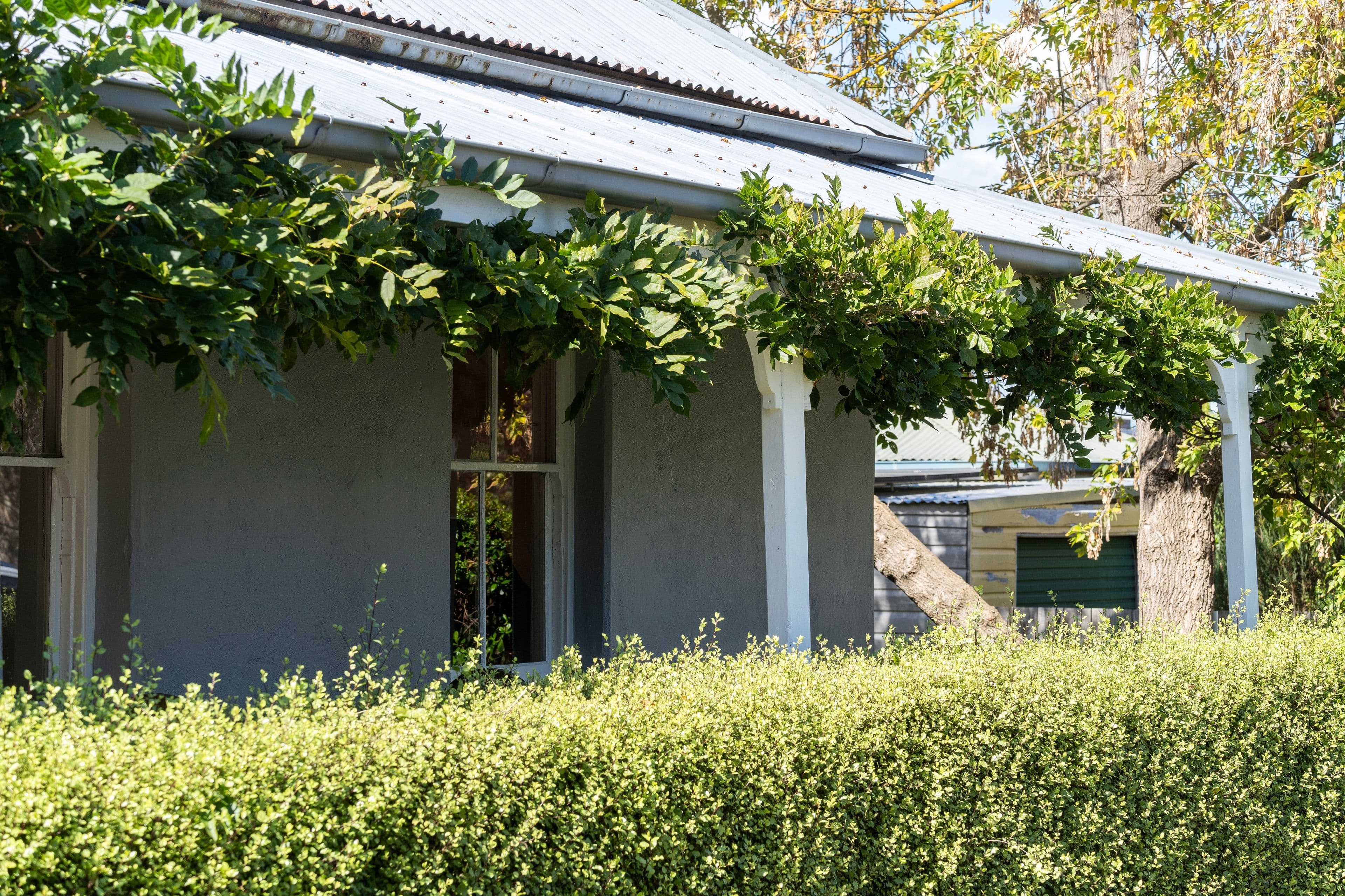 45 Ryrie Street, Braidwood NSW 2622, Braidwood - Image 1