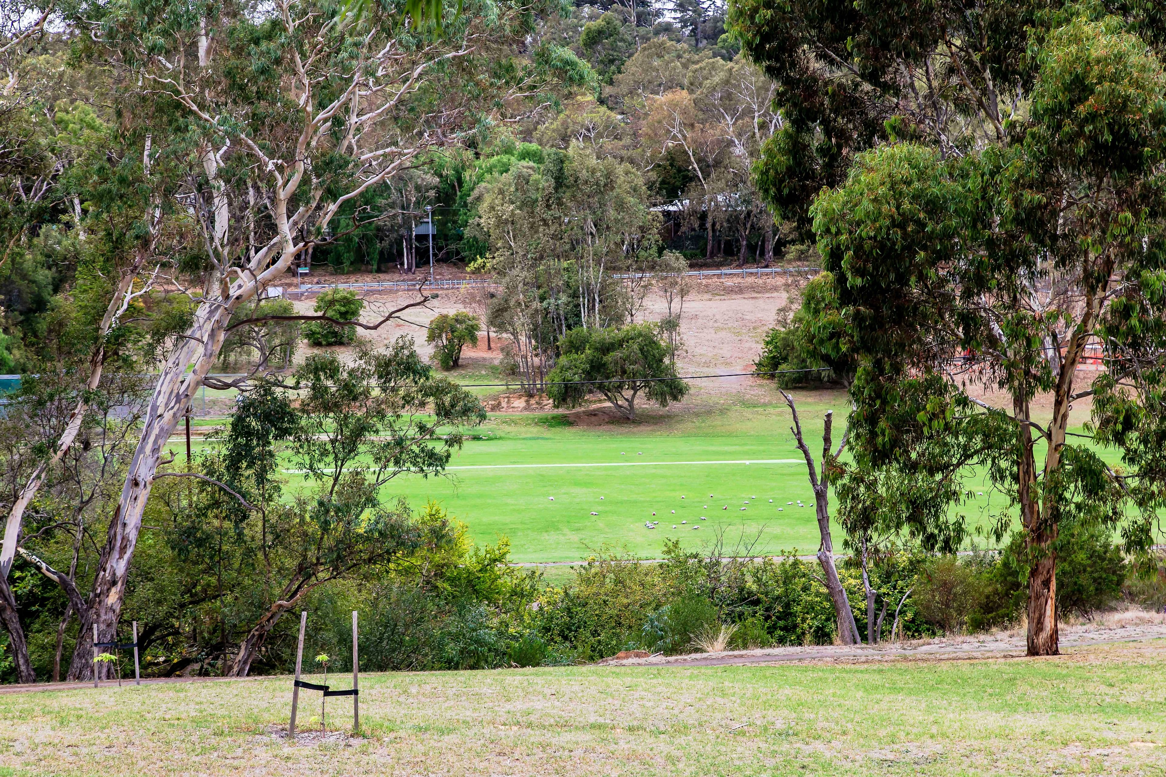 30 Wyndham Drive, Coromandel Valley SA 5051, Coromandel Valley - Thumbnail 4