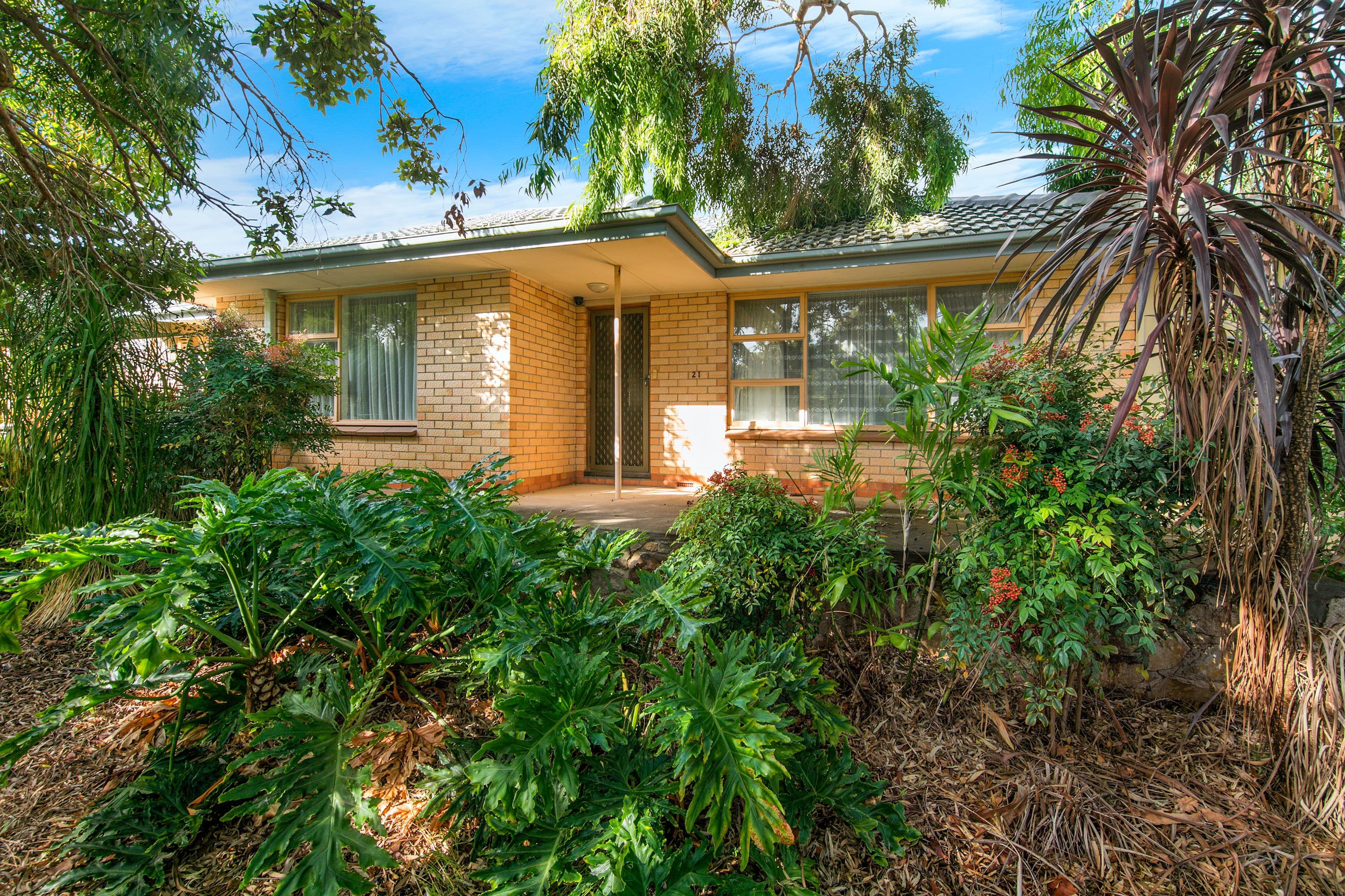 21 Beltana Avenue, Modbury North SA 5092, Modbury North - Thumbnail 3