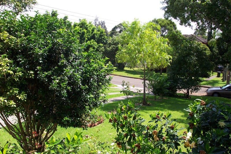17  Cambridge Street, BERKELEY NSW 2506, Berkeley - Thumbnail 8