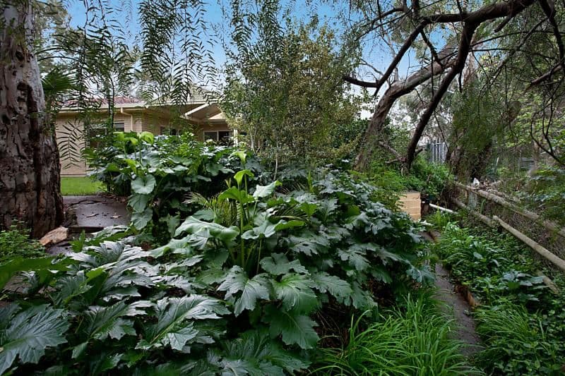 6  Corio Street, MODBURY SA 5092, Modbury - Thumbnail 8