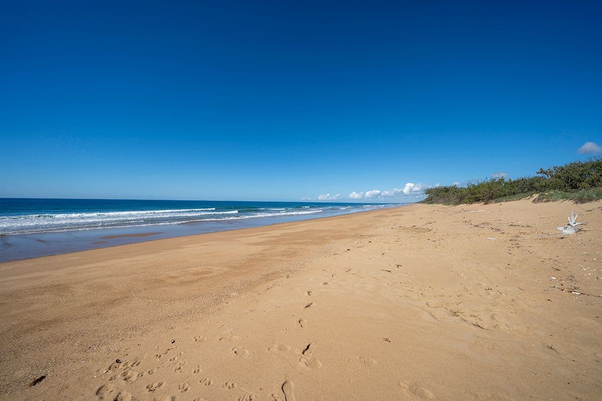 153 Capricornia Drive, Deepwater QLD 4674, Deepwater - Thumbnail 2