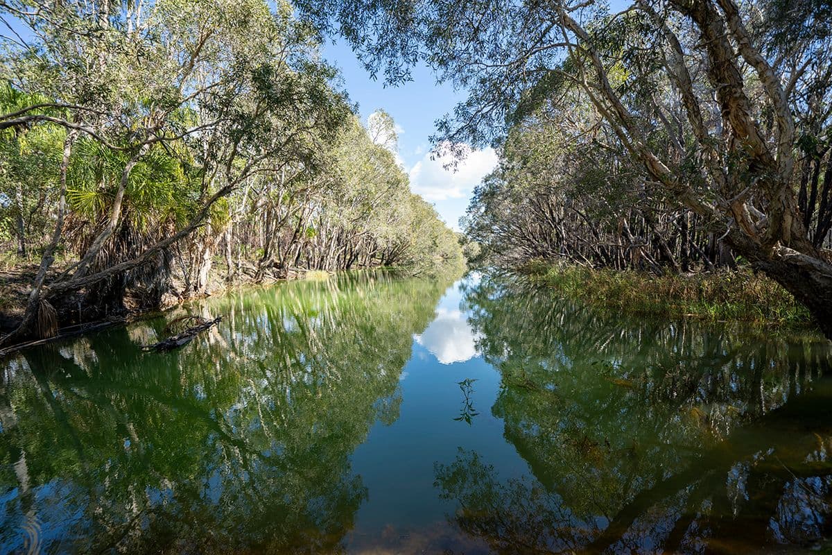 153 Capricornia Drive, Deepwater QLD 4674, Deepwater - Thumbnail 3