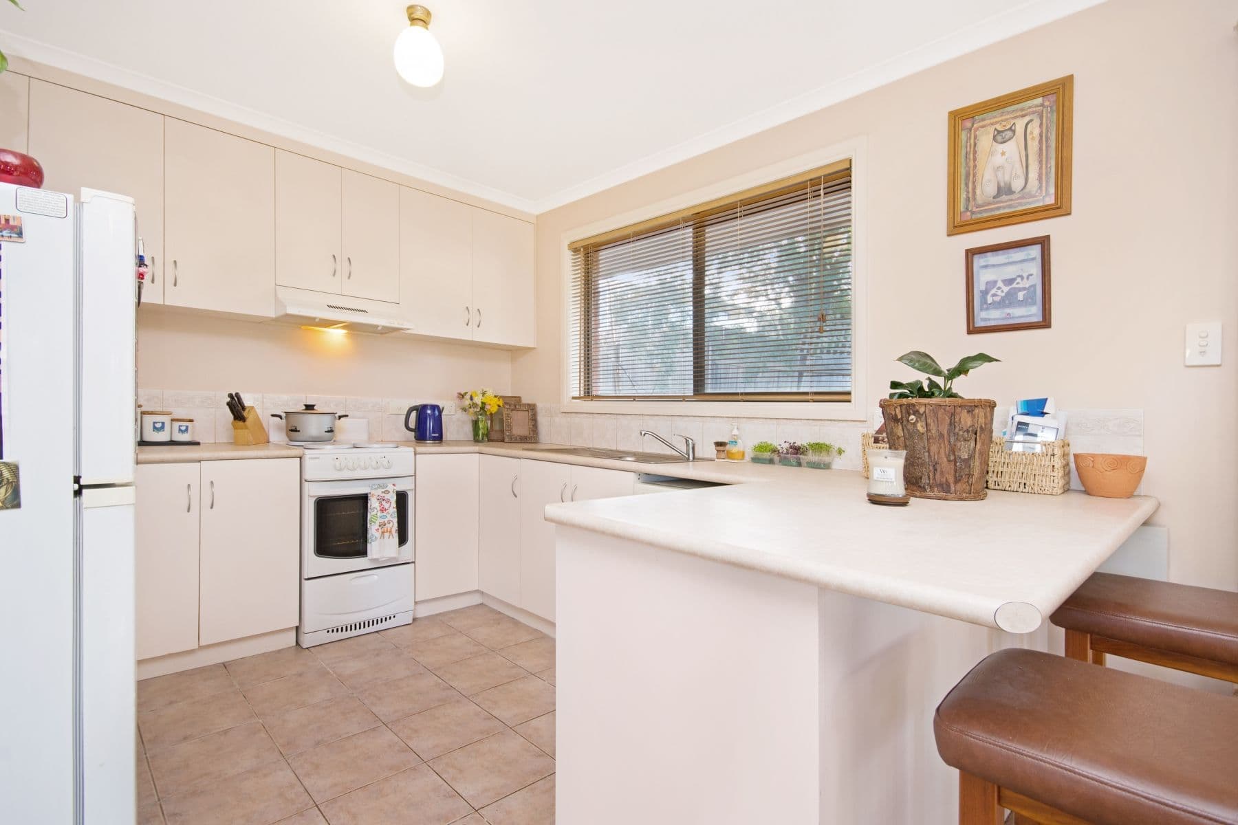 20 Pomona Road, Riverside TAS 7250, Riverside - Thumbnail 2