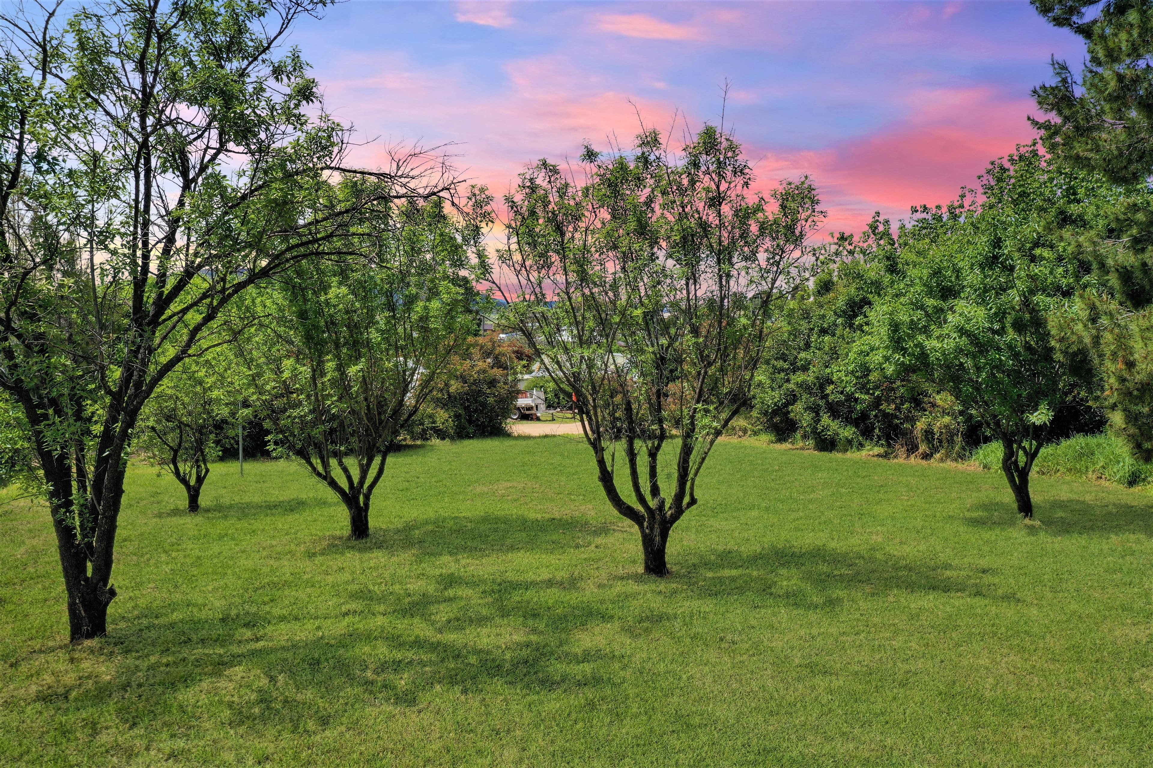 10A Breeza Street, Quirindi NSW 2343, Quirindi - Thumbnail 3