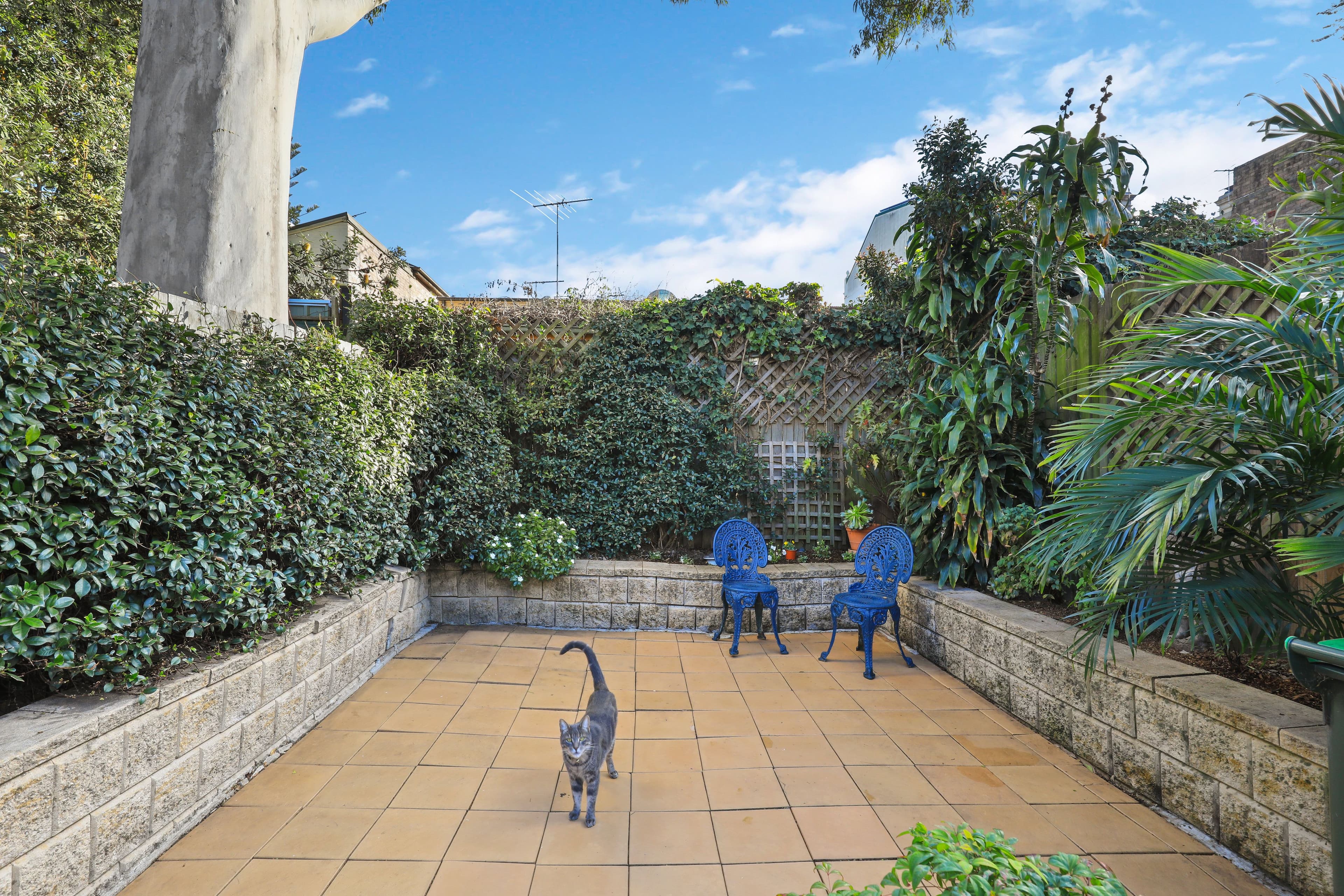13 Simmons Street, Enmore NSW 2042, Enmore - Thumbnail 6