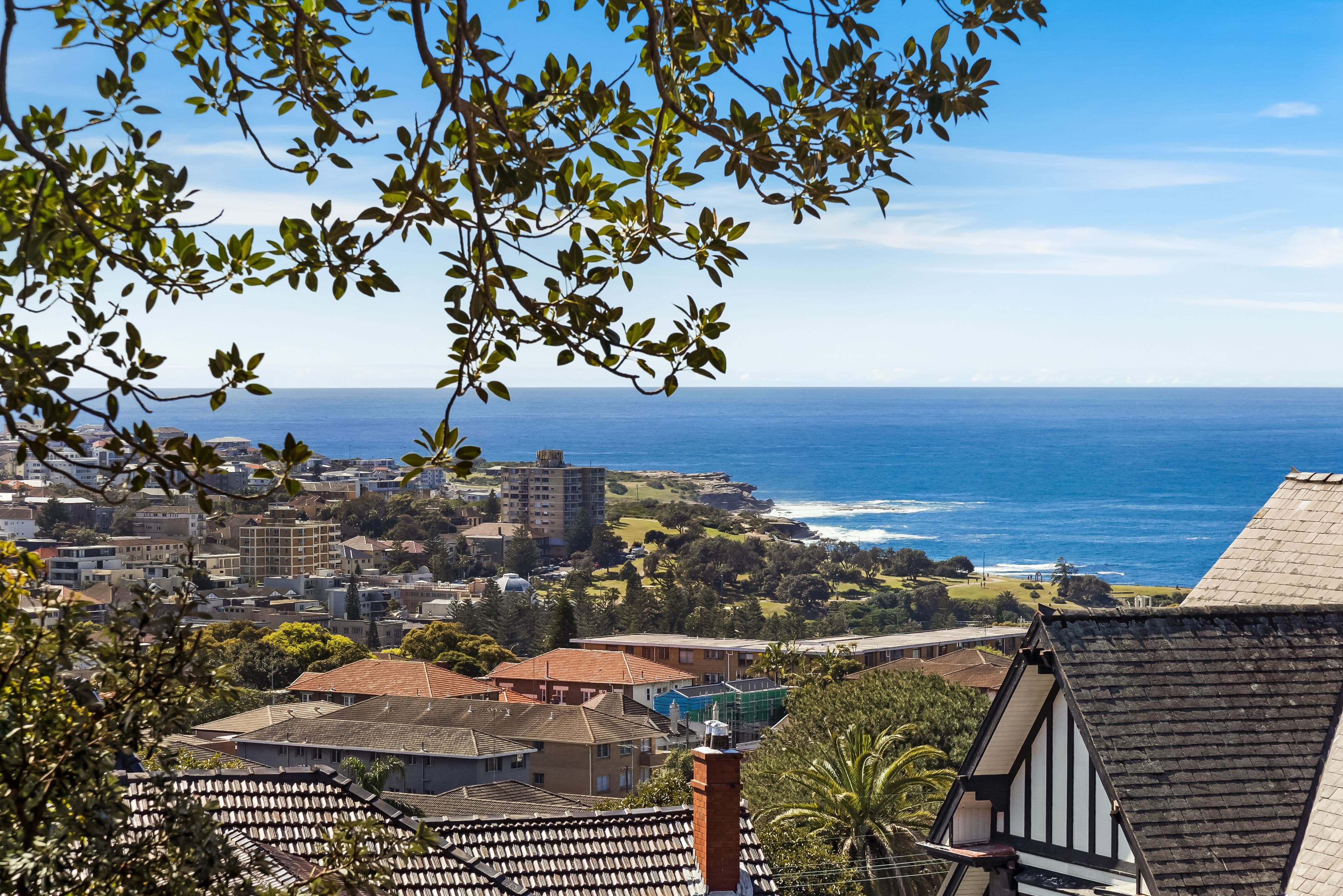 4 Higgs Street, Randwick NSW 2031, Randwick - Thumbnail 3
