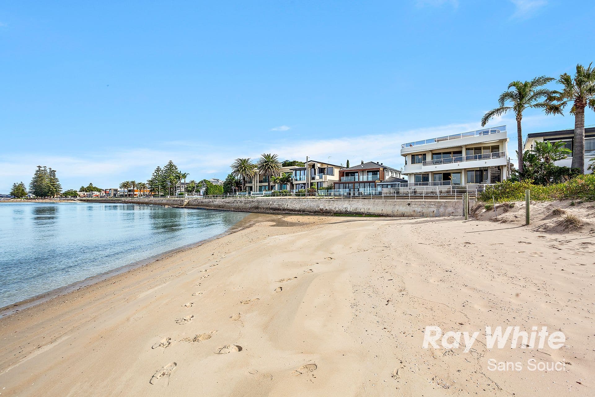 16 Primrose Avenue, Sandringham - Thumbnail 6