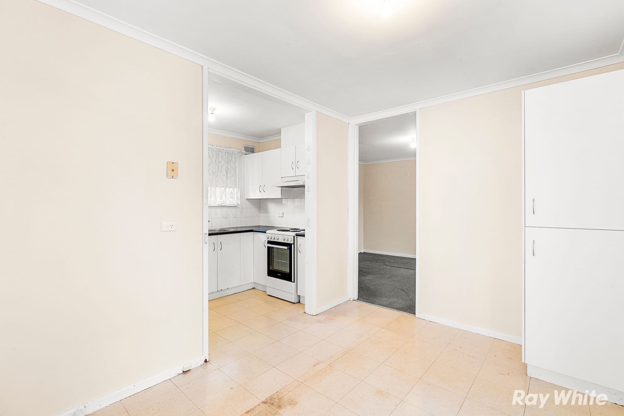 41 Mumford Street, Ashmont NSW 2650, Ashmont - Thumbnail 4