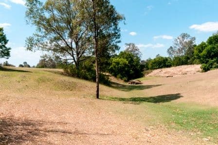15 Burton Street, NORTH BOOVAL QLD 4304, North Booval - Thumbnail 3
