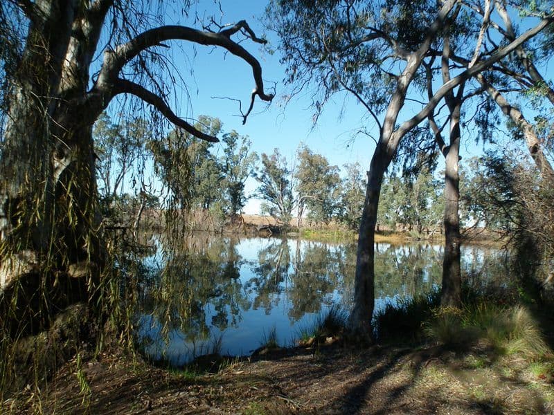 33 Wattlevale Road, NAGAMBIE VIC 3608, Nagambie - Thumbnail 6