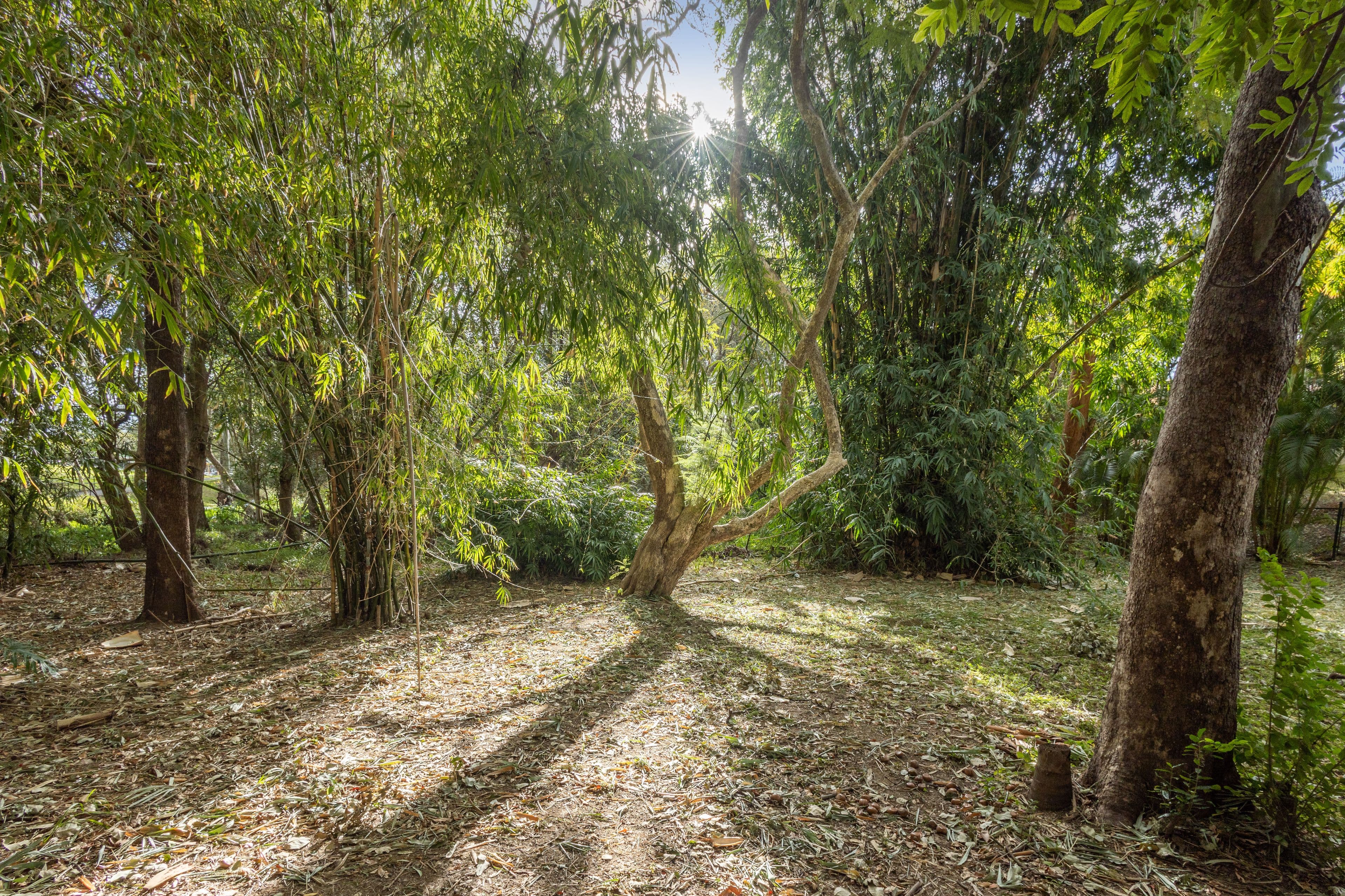 89 Illuta Avenue, Ferny Hills QLD 4055, Ferny Hills - Thumbnail 5