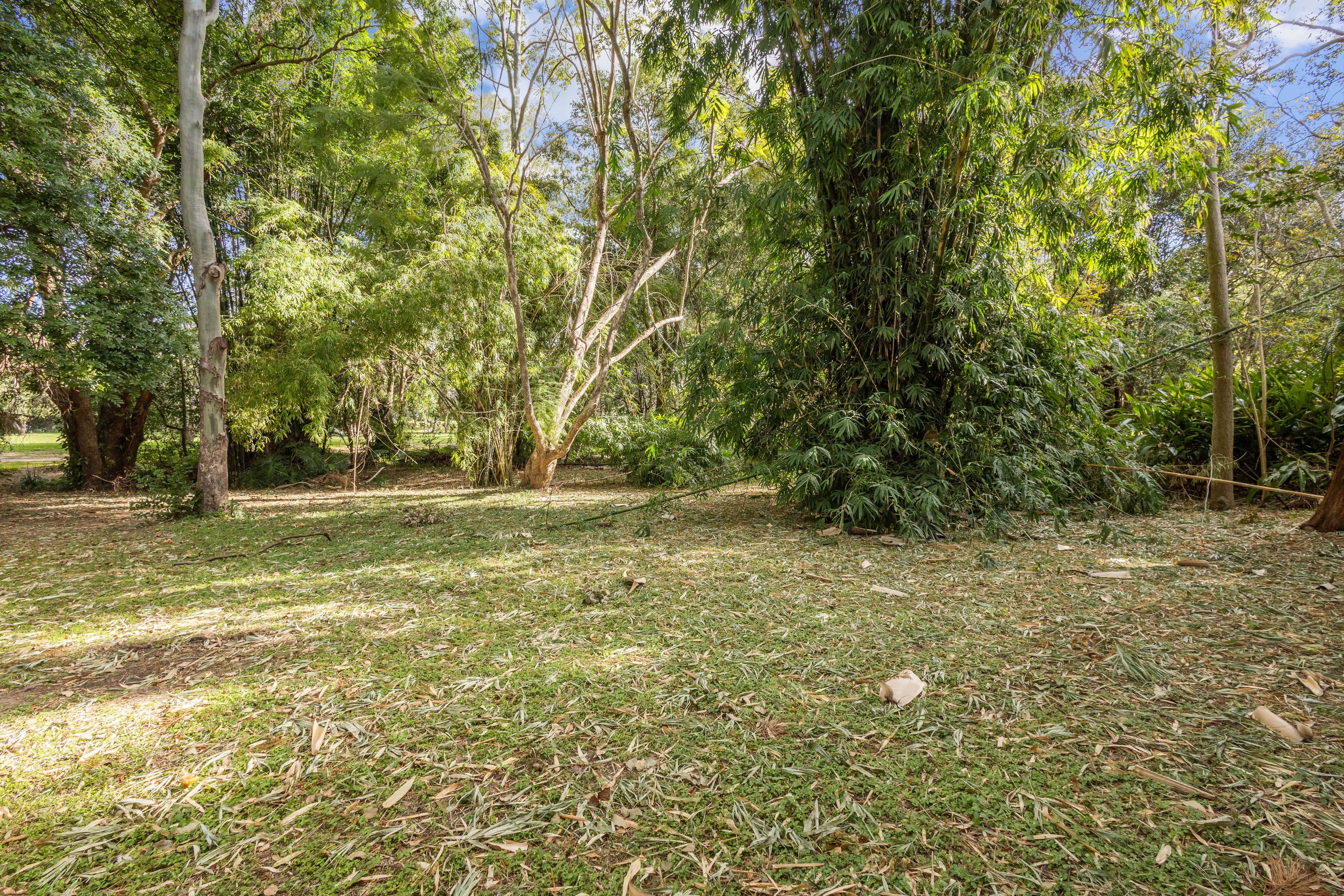 89 Illuta Avenue, Ferny Hills QLD 4055, Ferny Hills - Thumbnail 7