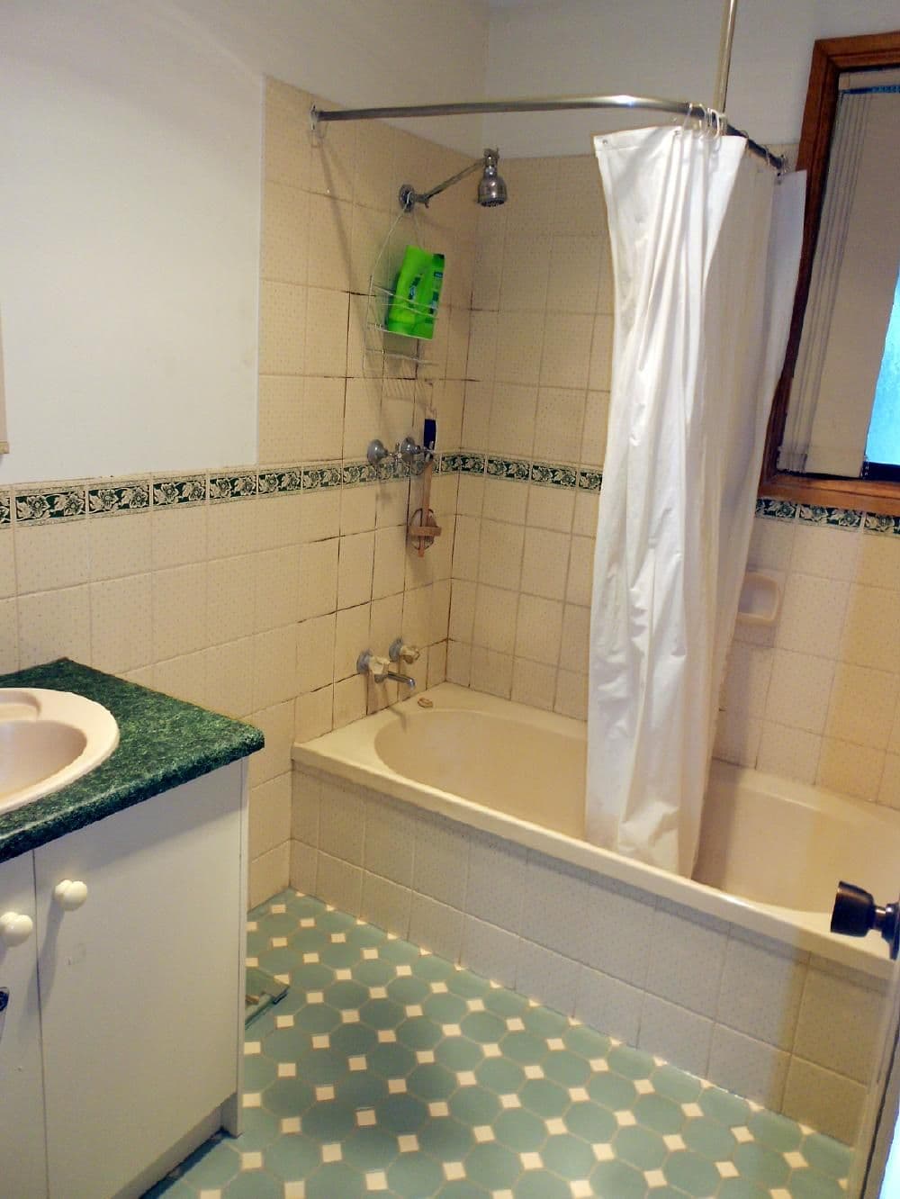 45 Green Street, BORDERTOWN SA 5268, Bordertown - Thumbnail 4