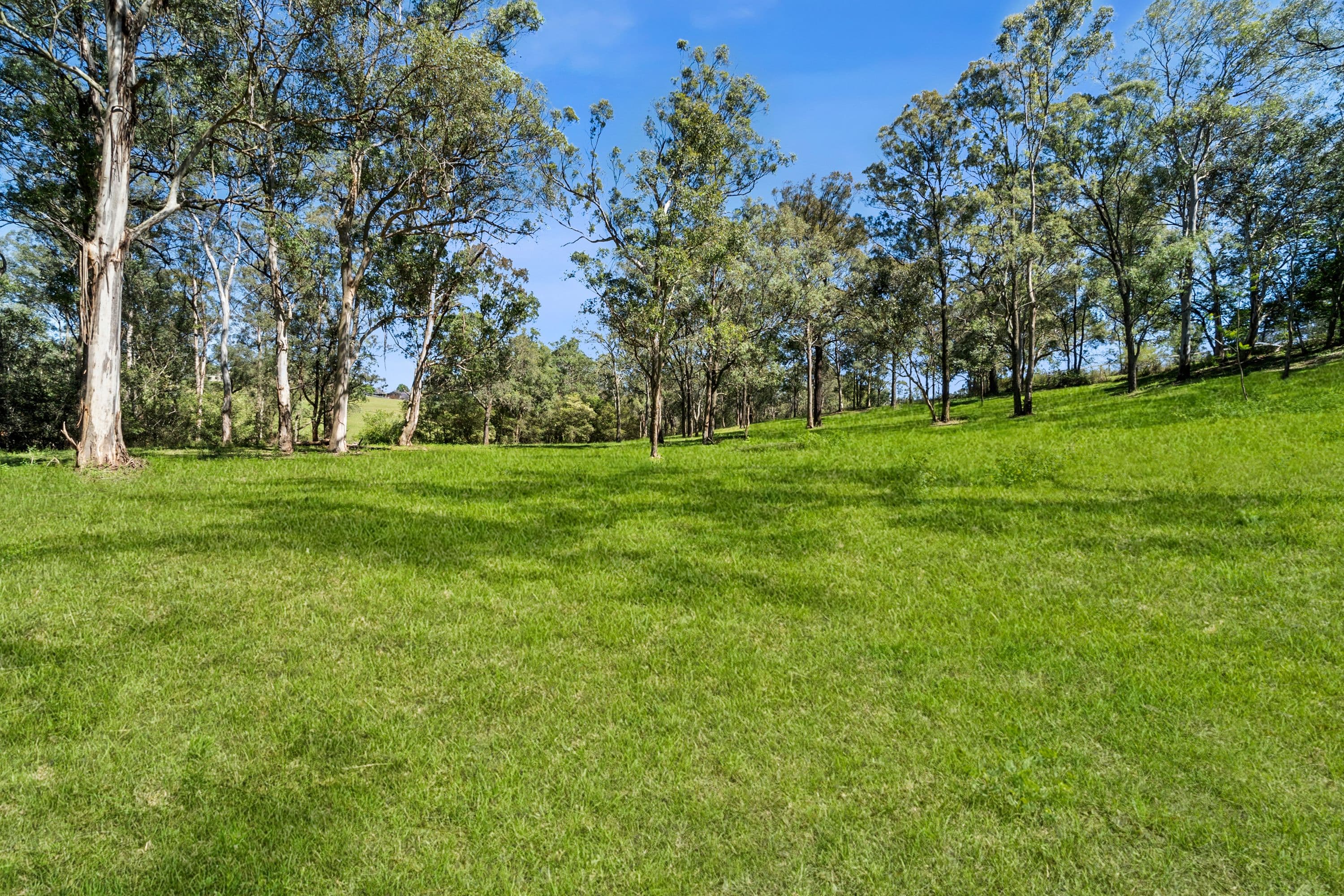 157 Slopes Road, North Richmond NSW 2754, North Richmond - Thumbnail 4
