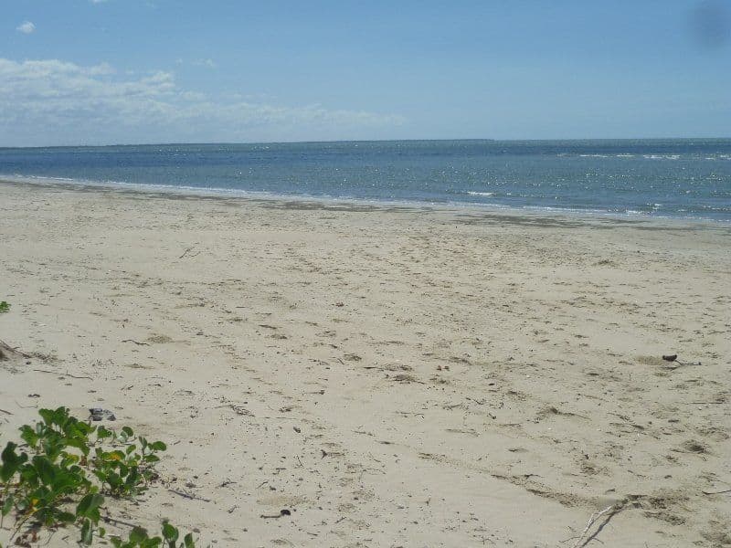 534 O'Regan Creek Road, TOOGOOM QLD 4655, Toogoom - Thumbnail 2
