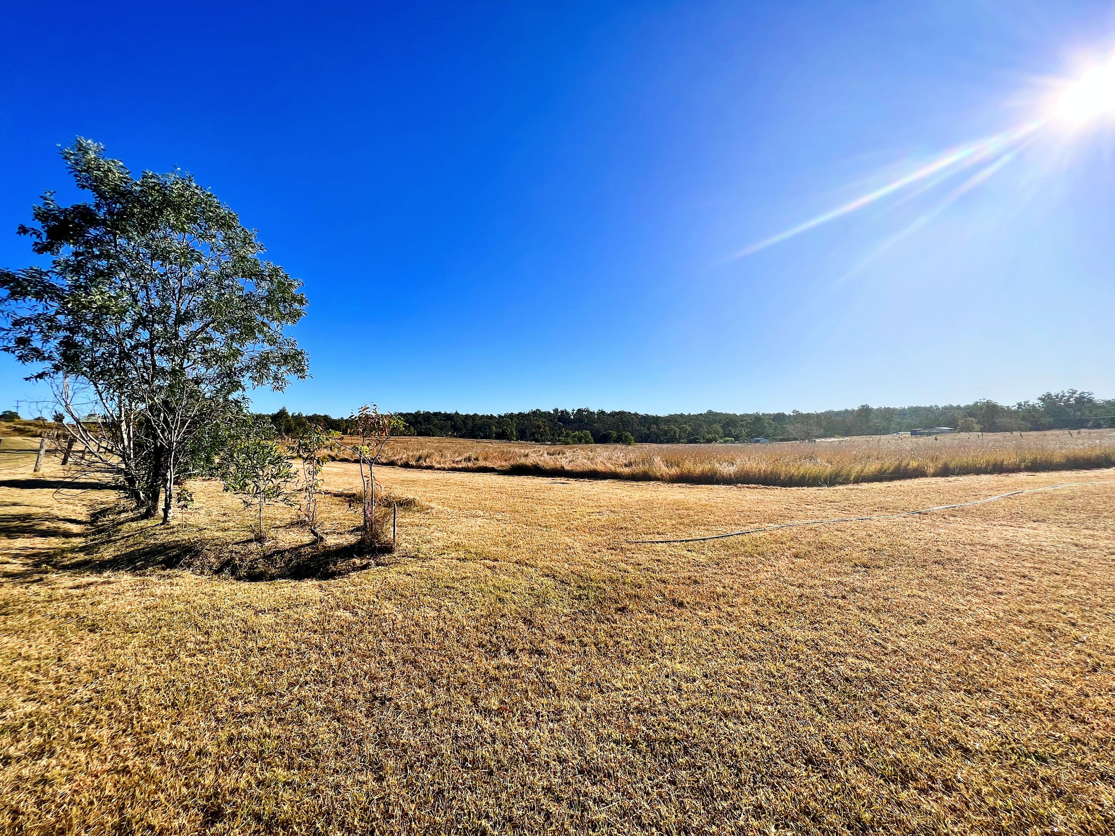 8 Wagon Wheel Court, Maroondan QLD 4671, Maroondan - Thumbnail 4