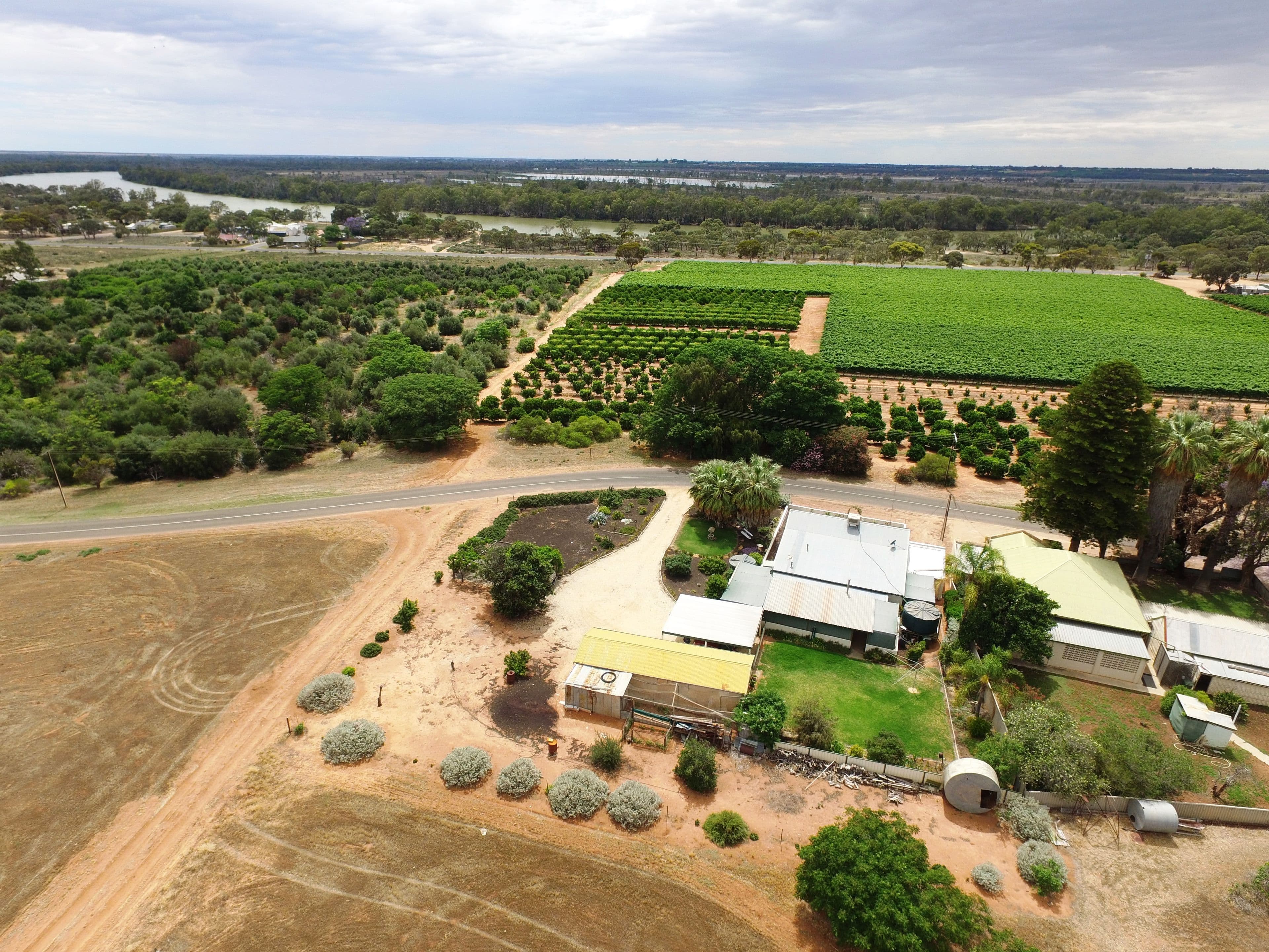 81 Loxton Drive, Moorook SA 5332, Moorook - Thumbnail 2