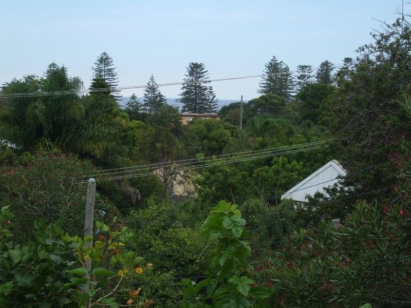 84 Seaview Street, NEWPORT NSW 2106, Newport - Thumbnail 2