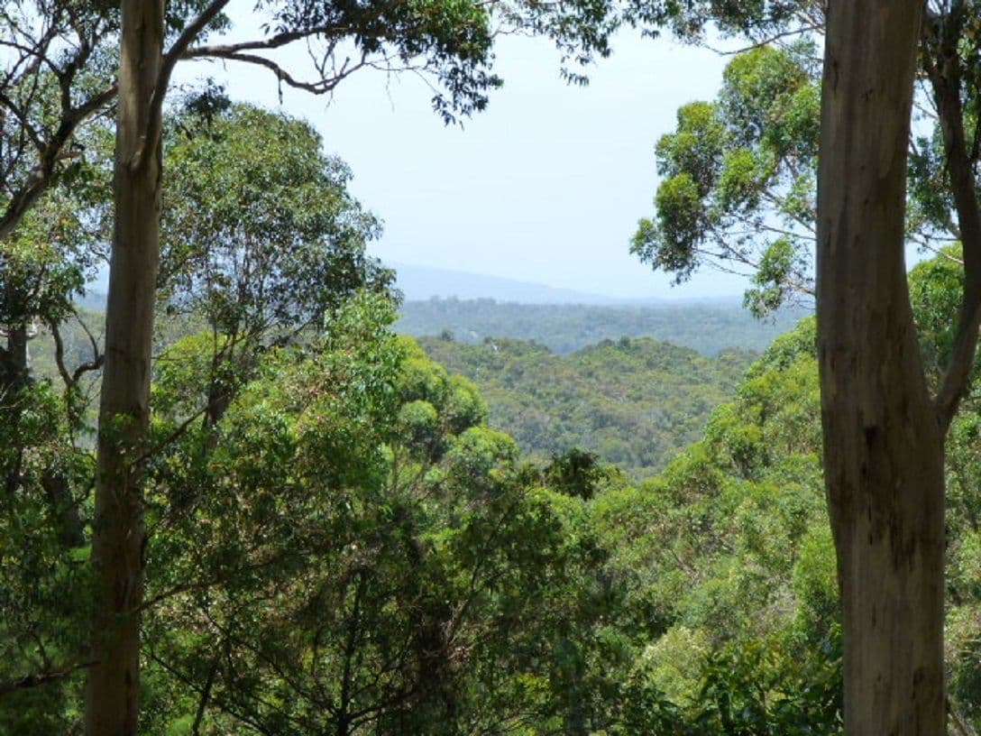 33 Gilbert Avenue, Denmark WA 6333, Denmark - Thumbnail 4