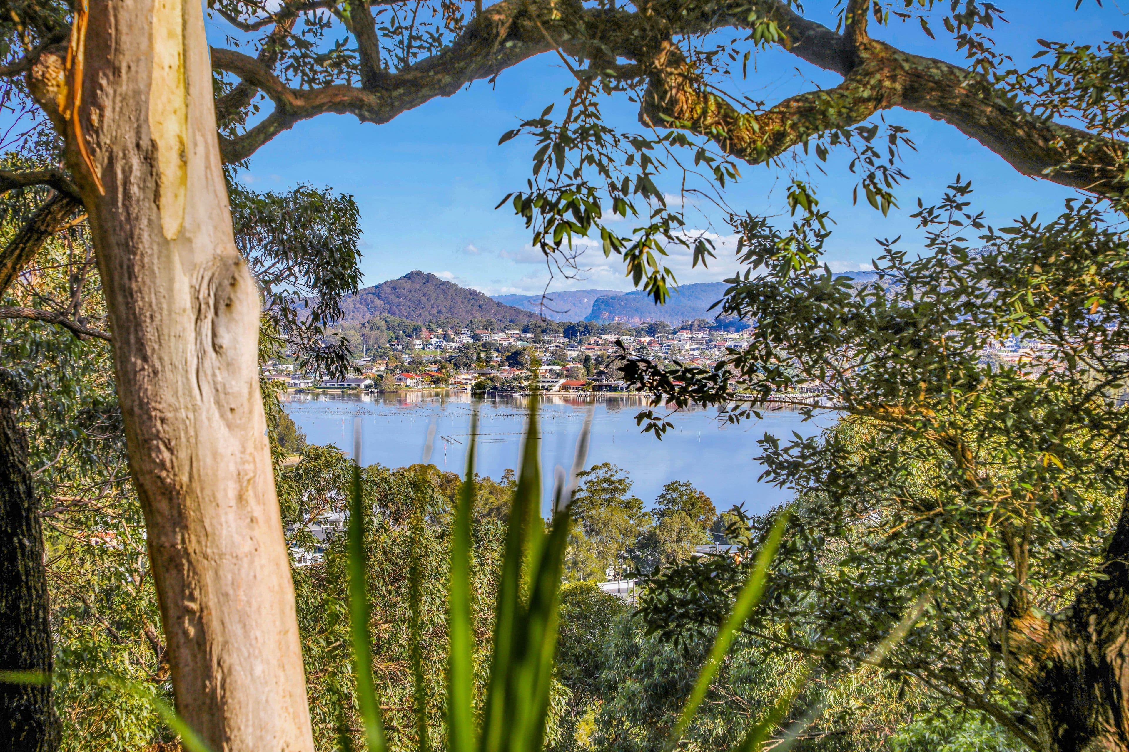 19 Shaw Street, Saratoga NSW 2251, Saratoga - Thumbnail 2