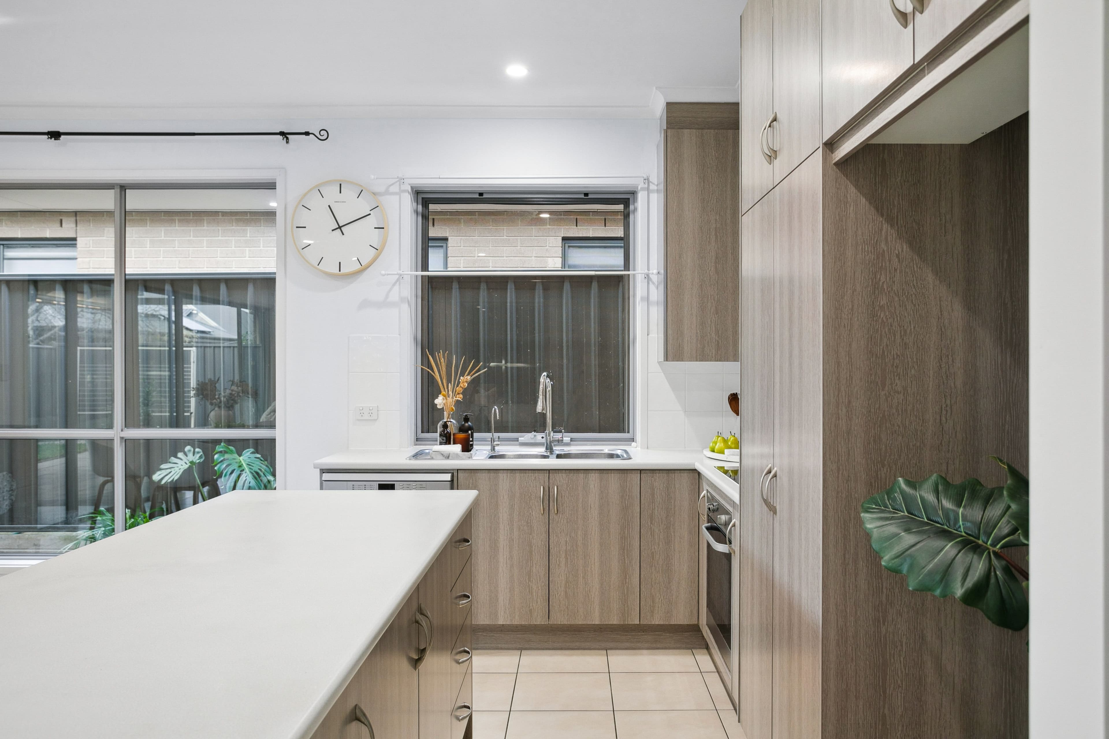 36 Francis Street, Lightsview SA 5085, Lightsview - Thumbnail 6