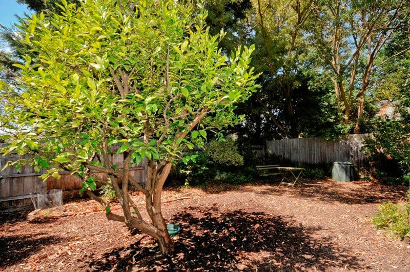 Unit 3, 2 HENTY Court, CROYDON VIC 3136, Croydon - Thumbnail 8