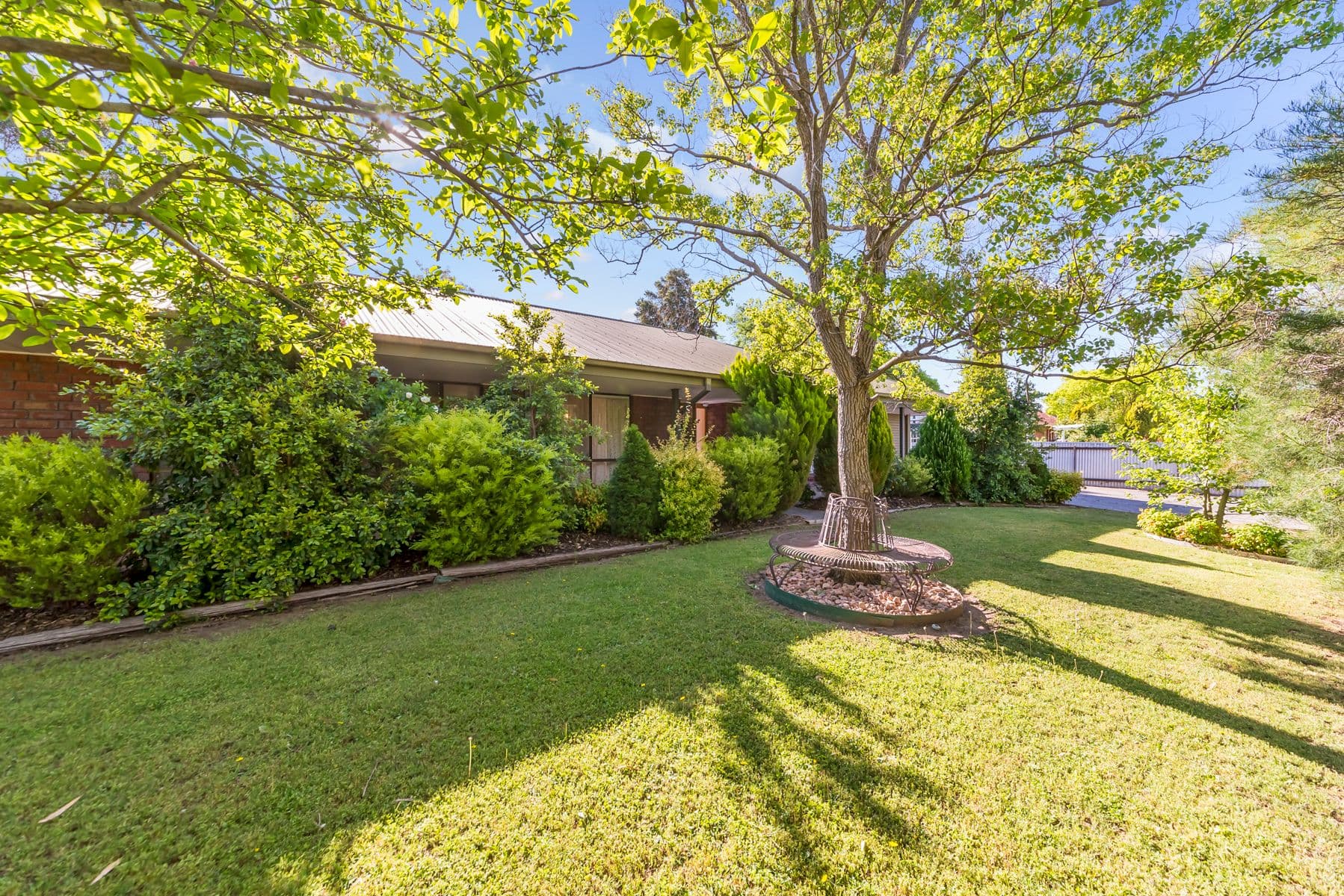 20 Rogers Street, Freeling SA 5372, Freeling - Thumbnail 3