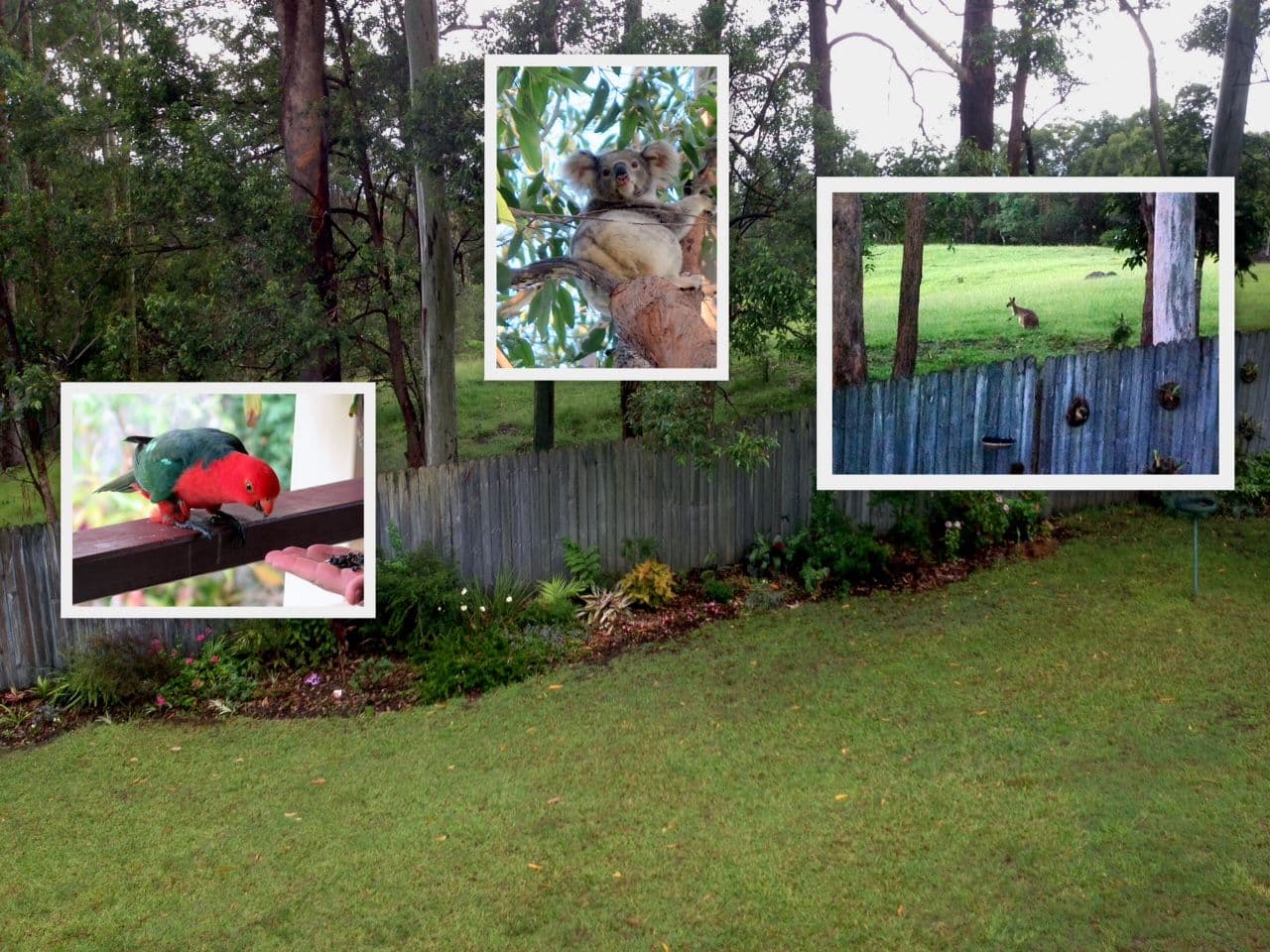 12 Palmvale Drive, Goonellabah NSW 2480, Goonellabah - Thumbnail 3