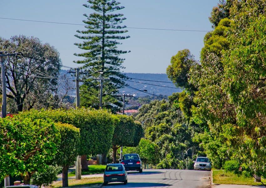 42 Hamilton Street, BAYSWATER WA 6053, Bayswater - Thumbnail 3