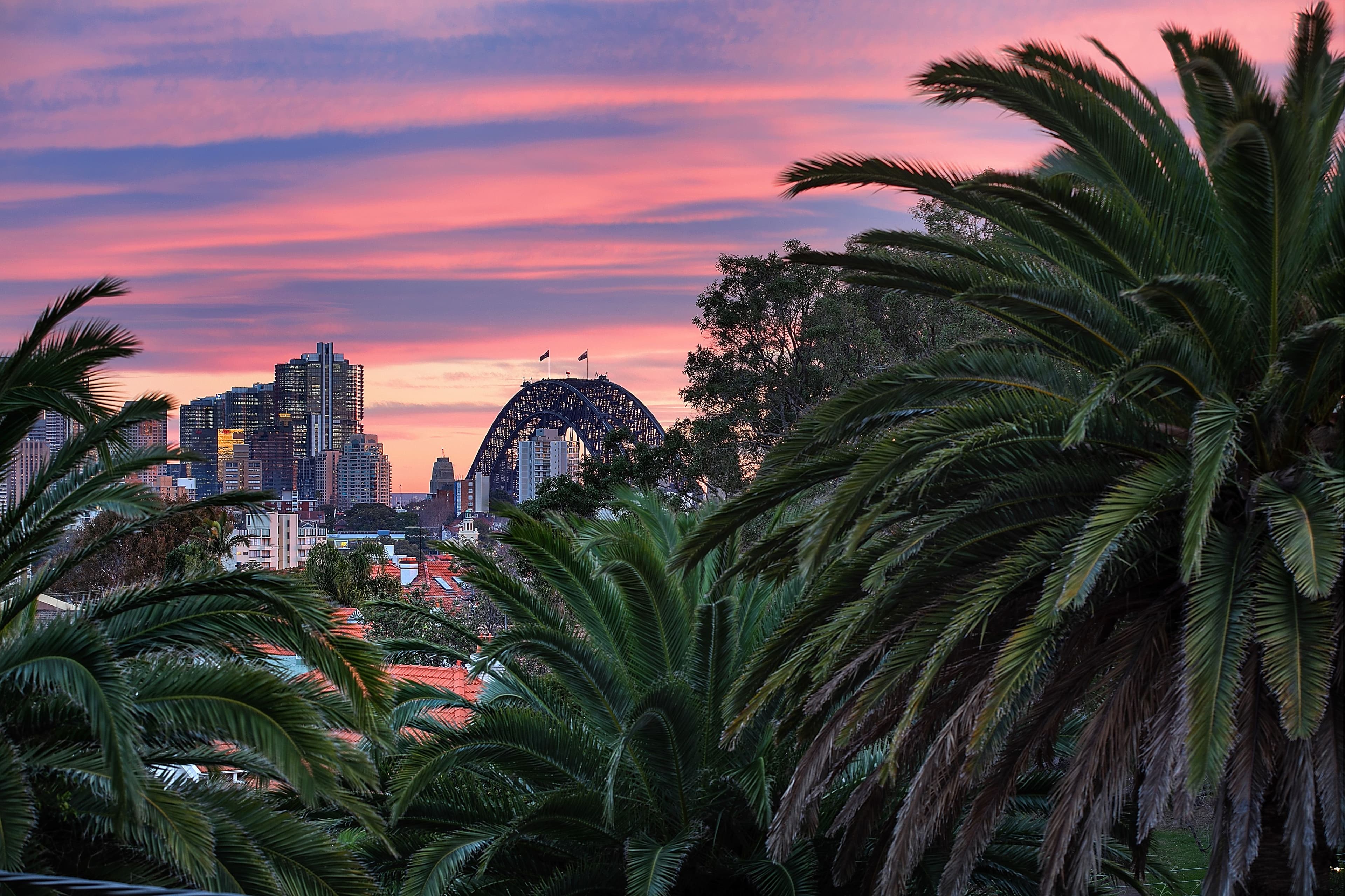 3A Reed Street, Cremorne NSW 2090, Cremorne - Image 1