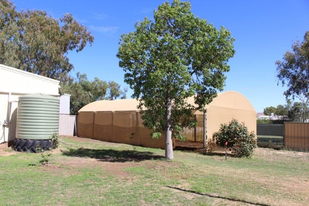 33 Shenton Street, Mingenew WA 6522, Mingenew - Thumbnail 5