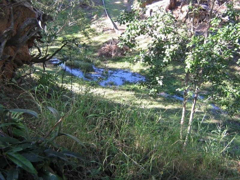 62 Sellin Road, DAYBORO QLD 4521, Dayboro - Thumbnail 6
