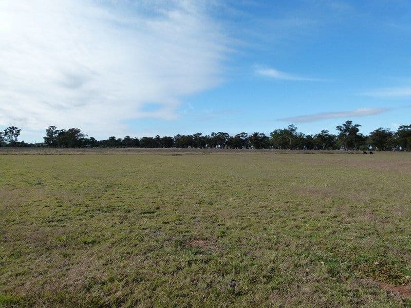 LOT 7 South Lead Road, FORBES NSW 2871, Forbes - Thumbnail 3