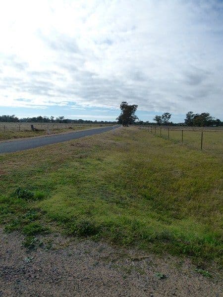 LOT 7 South Lead Road, FORBES NSW 2871, Forbes - Thumbnail 6