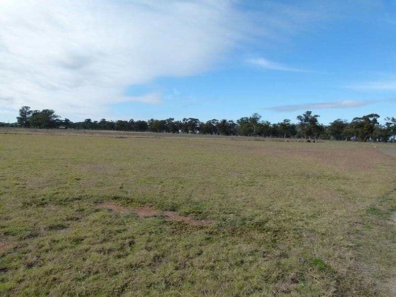 LOT 7 South Lead Road, FORBES NSW 2871, Forbes - Thumbnail 7