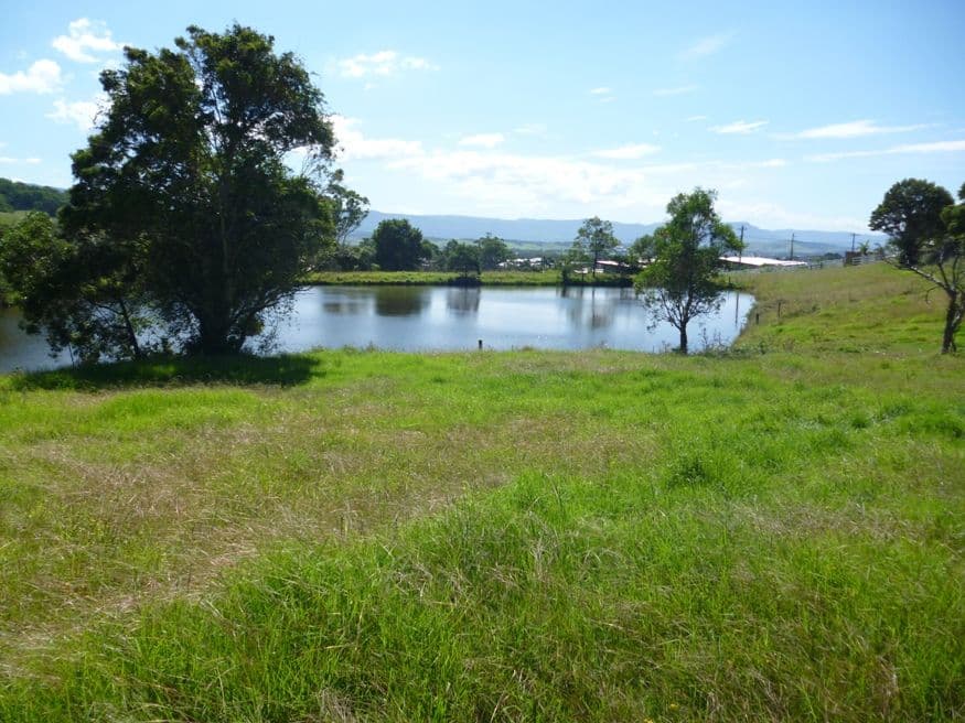 143 Daintree Drive, ALBION PARK NSW 2527, Albion Park - Image 1