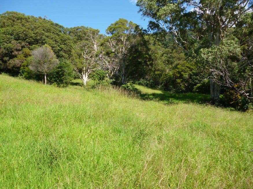 143 Daintree Drive, ALBION PARK NSW 2527, Albion Park - Thumbnail 5