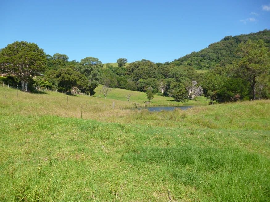 143 Daintree Drive, ALBION PARK NSW 2527, Albion Park - Thumbnail 6