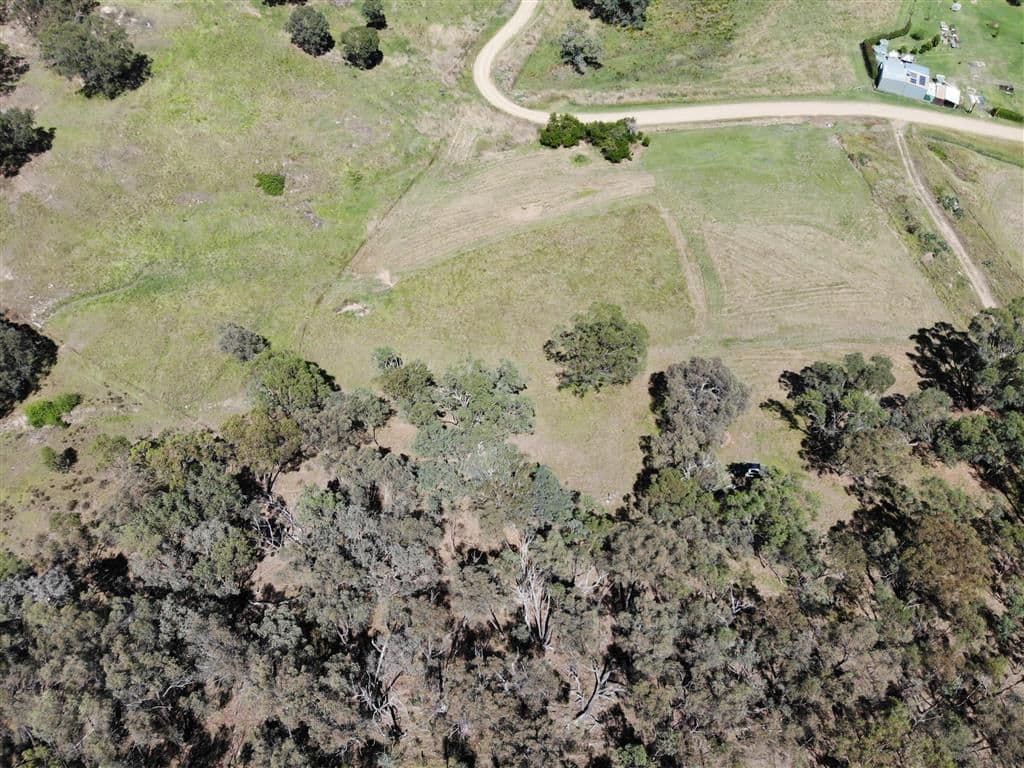 179 Grahamstown Road, Adelong NSW 2729, Adelong - Thumbnail 3