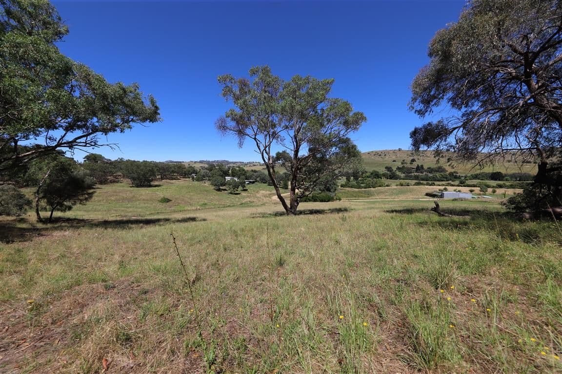 179 Grahamstown Road, Adelong NSW 2729, Adelong - Thumbnail 6
