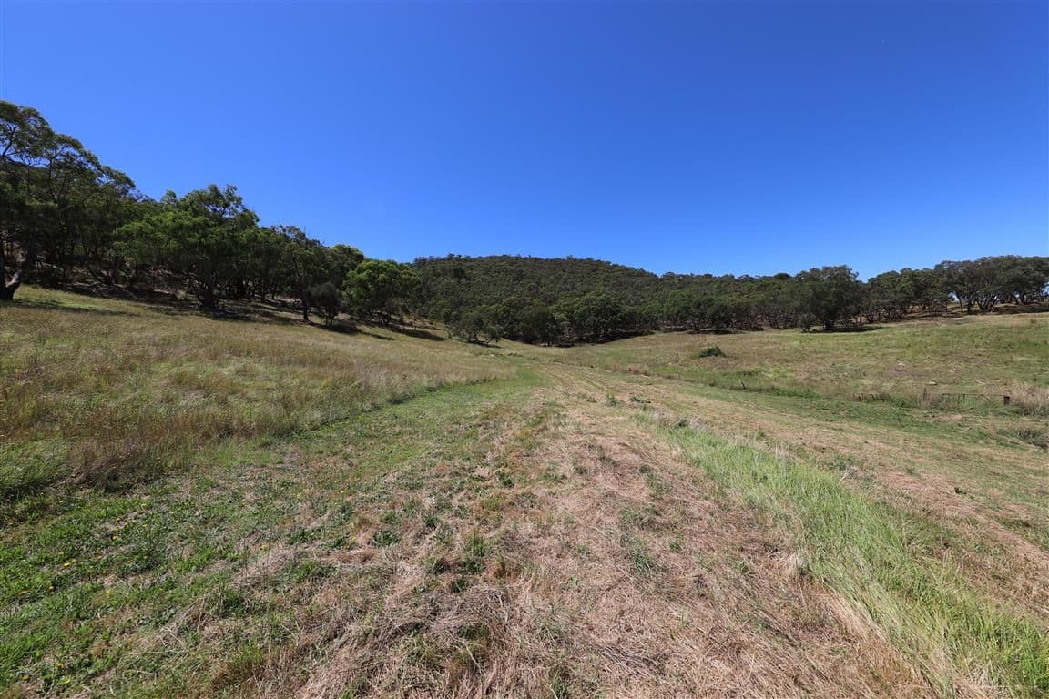179 Grahamstown Road, Adelong NSW 2729, Adelong - Thumbnail 7