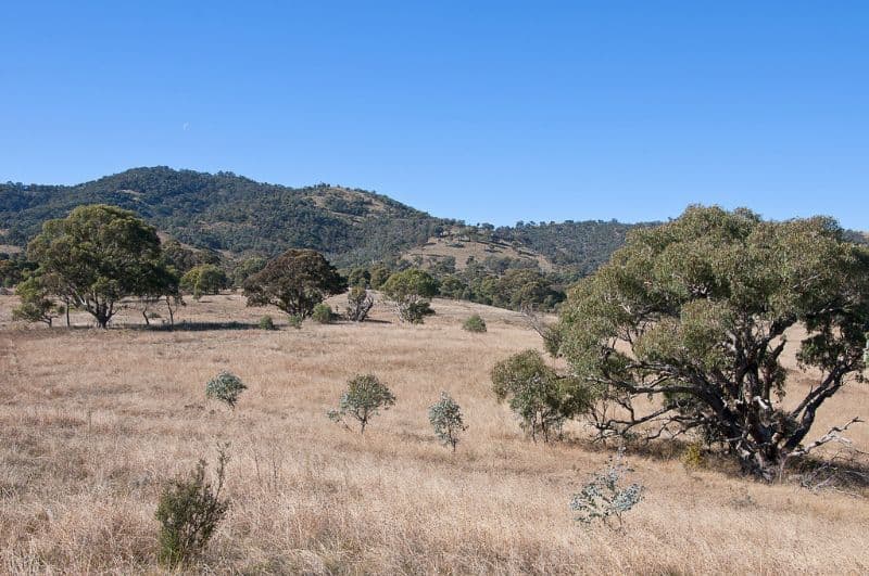 Lots 11 and B Kelly Road, WILLIAMSDALE NSW 2620, Williamsdale - Thumbnail 6
