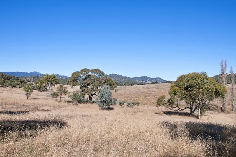 Lots 11 and B Kelly Road, WILLIAMSDALE NSW 2620, Williamsdale - Thumbnail 7
